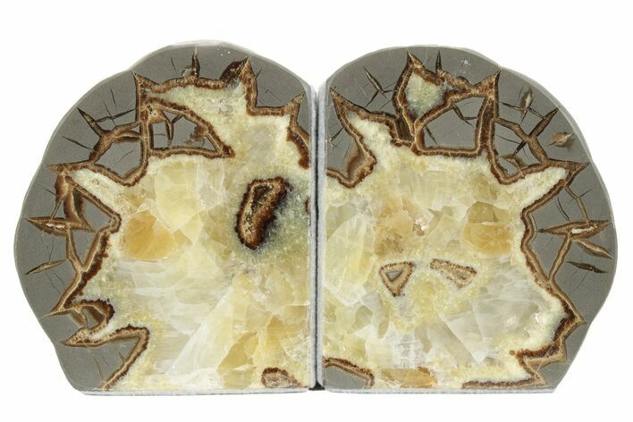 Crystal Filled Septarian Geode Bookends - Utah #231077